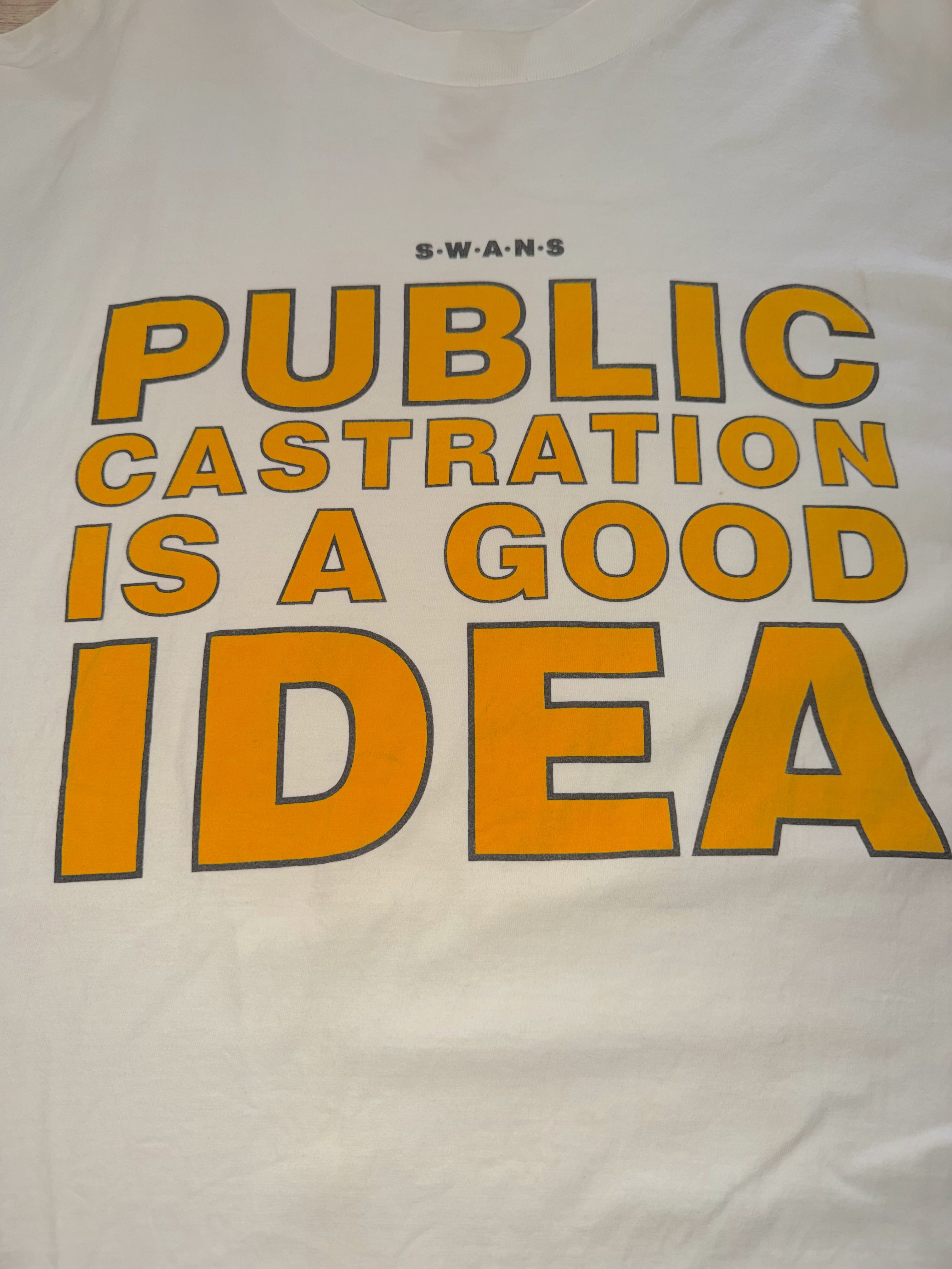 Vintage 90's Swans T-Shirt