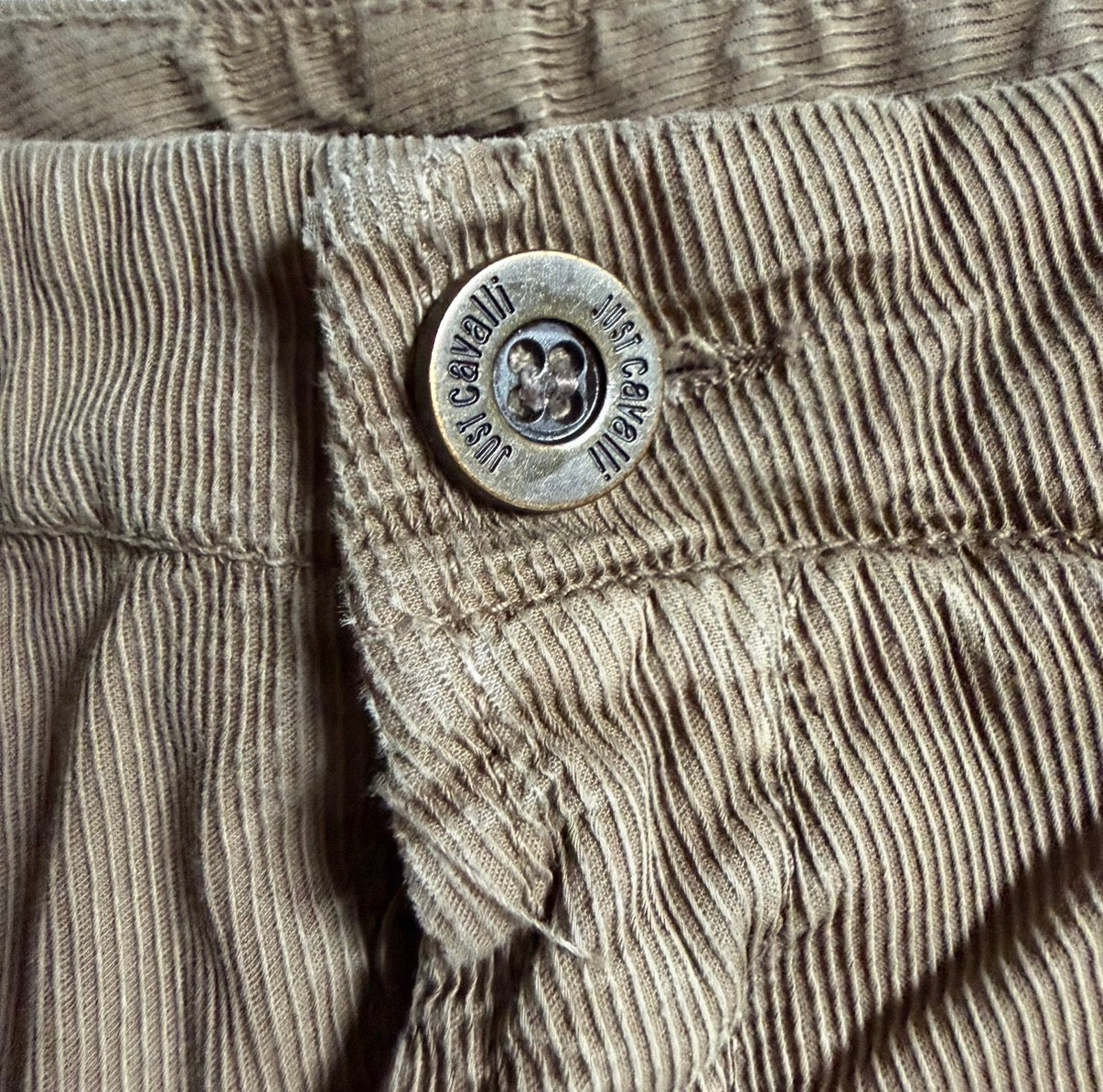 JUST CAVALLI X ROBERTO CAVALLI 2006 VELVET CARGO PANTS