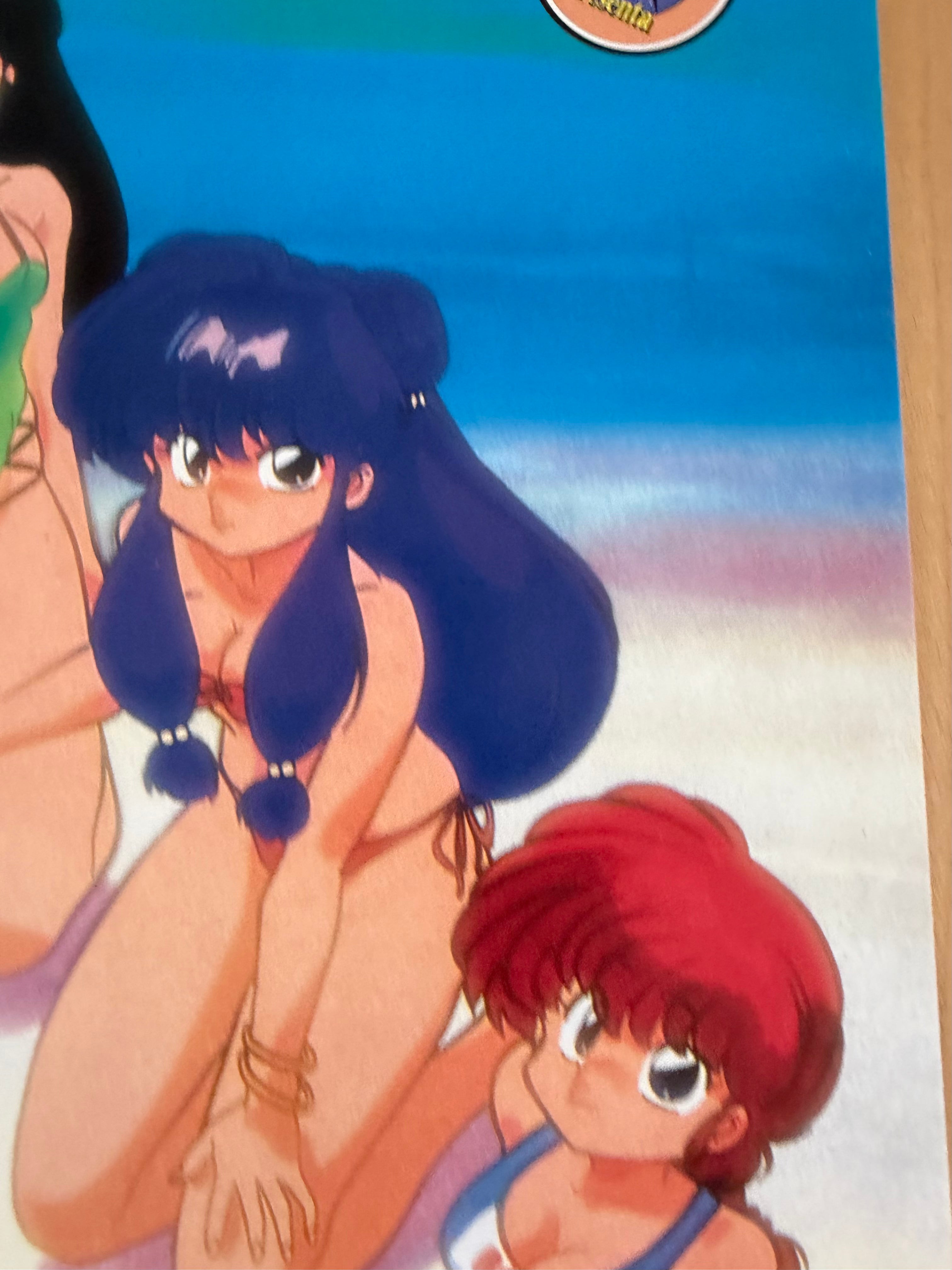 Vintage Ranma 1996 Anime Poster