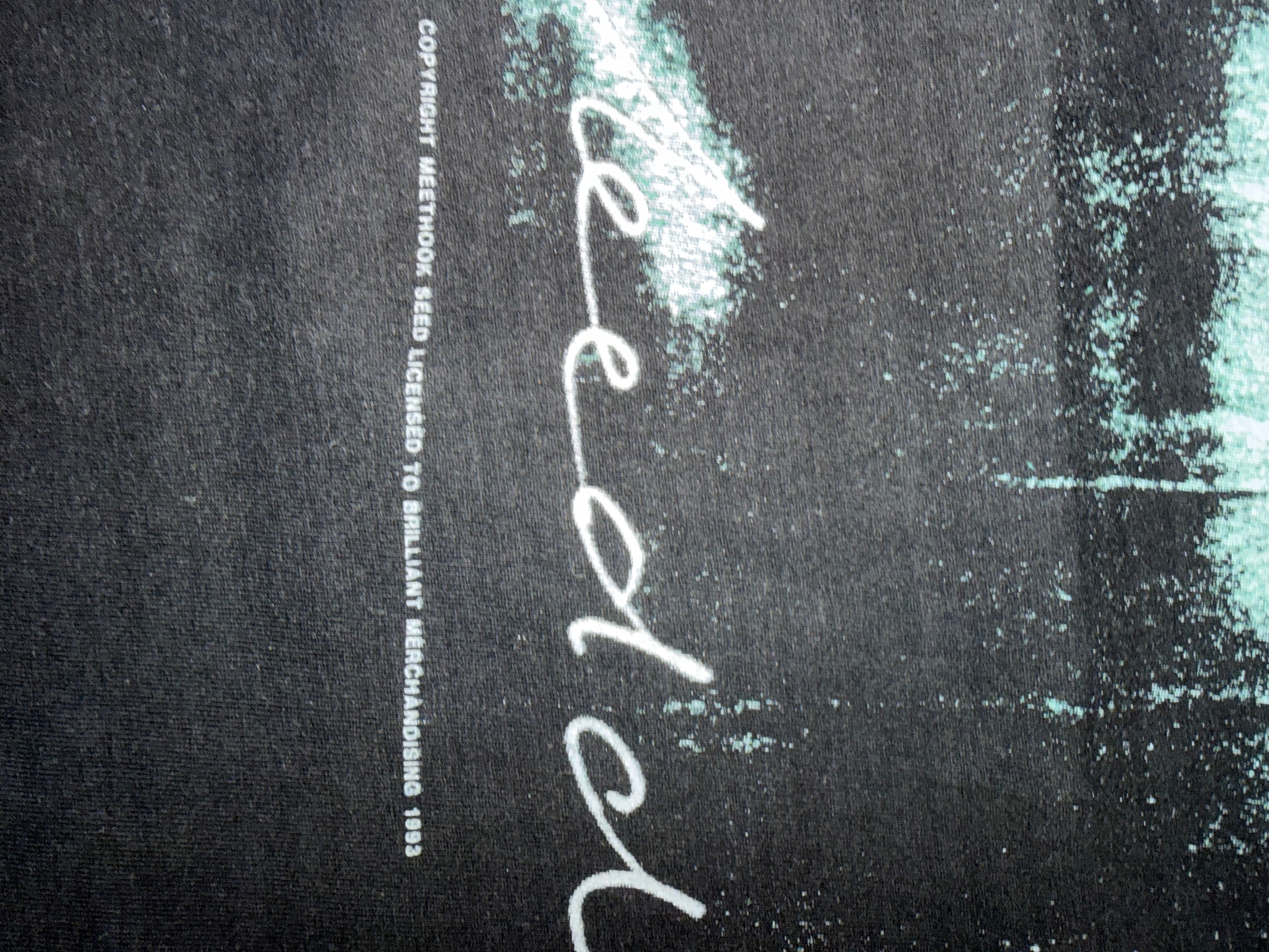Vintage 90's Meathook Seed T-Shirt