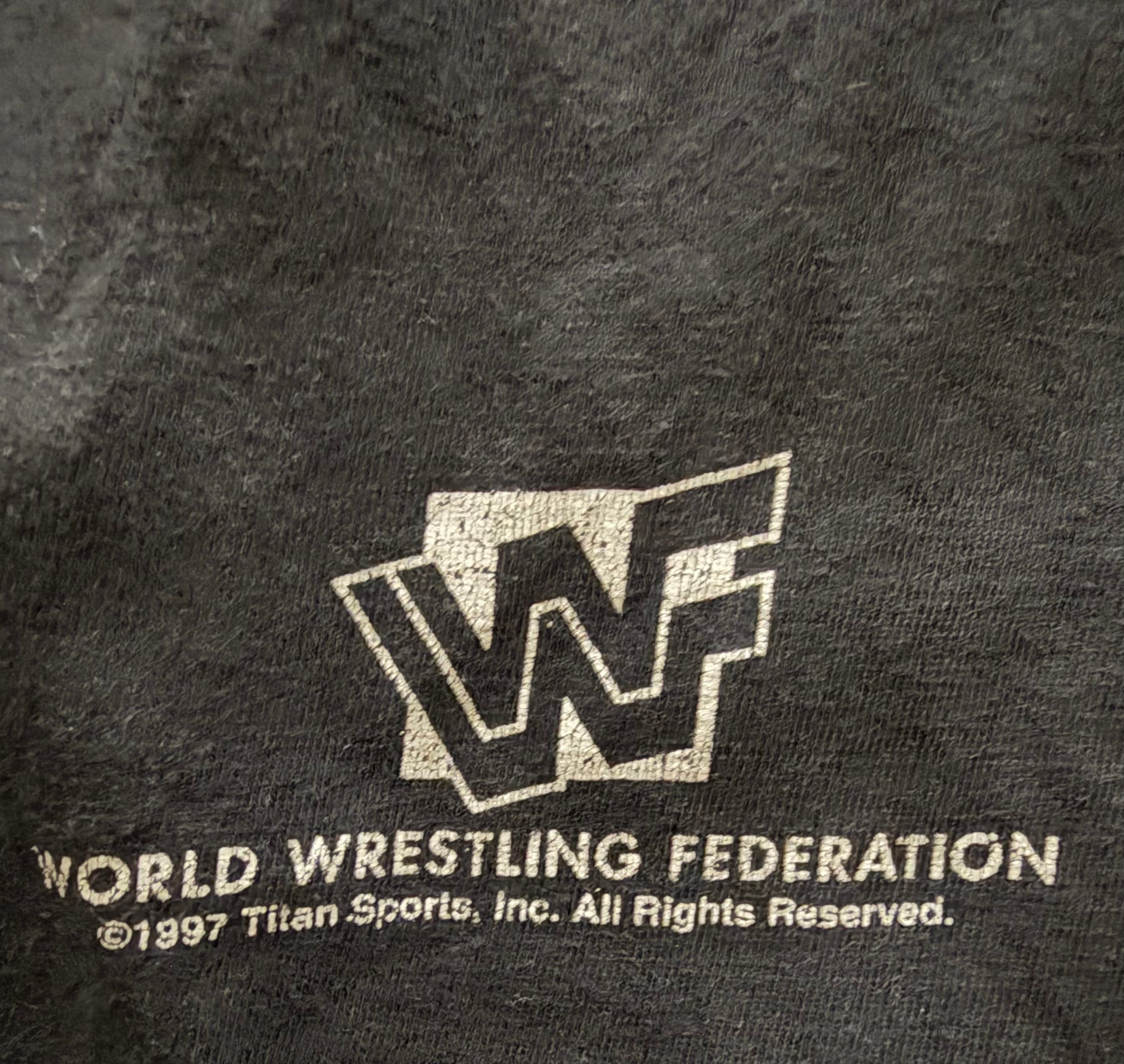 Vintage WWF Legion Of Doom The Road Warriors Hawk Animal 90s Wrestling T-Shirt