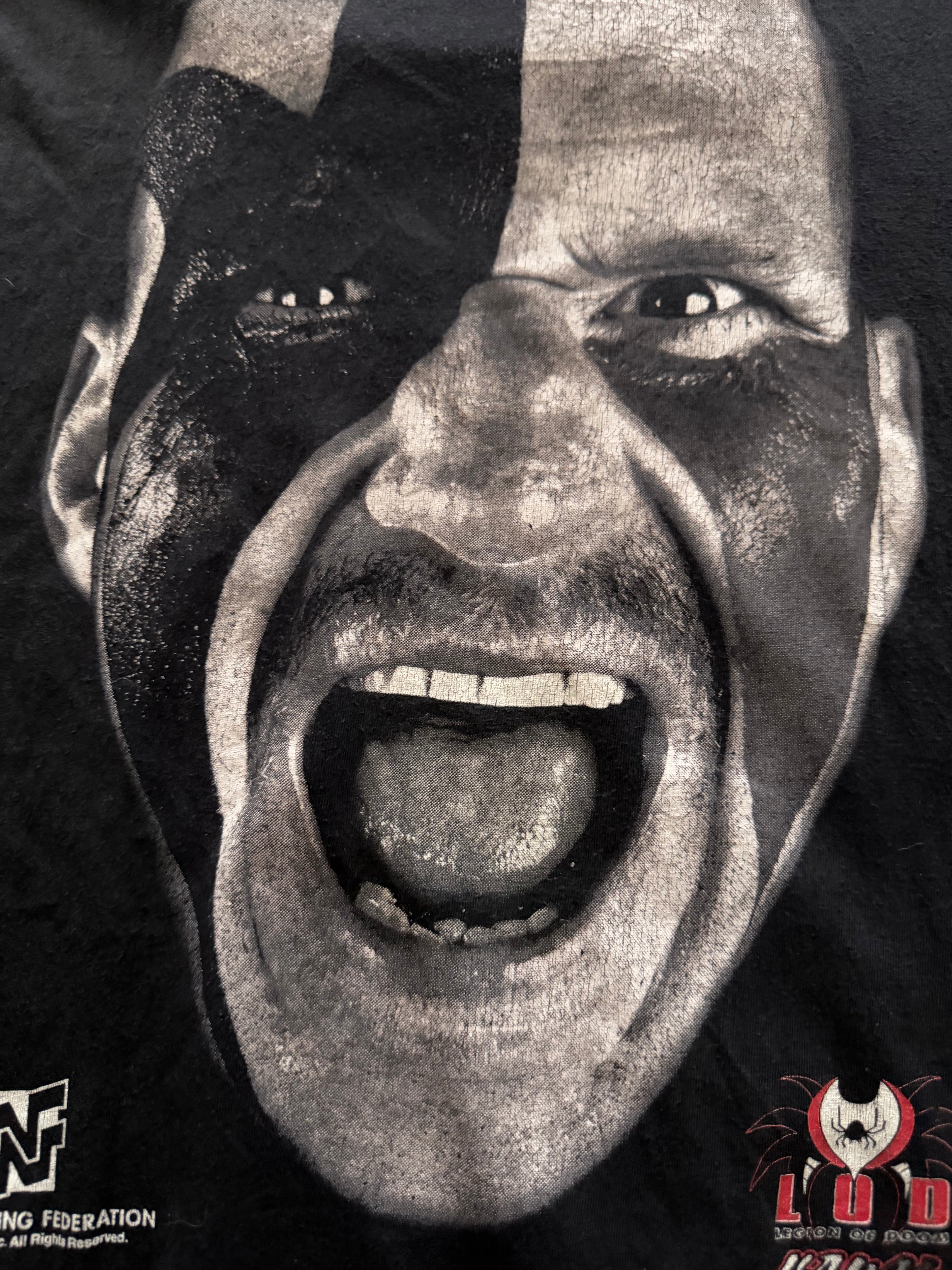 Vintage WWF Legion Of Doom The Road Warriors Hawk Animal 90s Wrestling T-Shirt