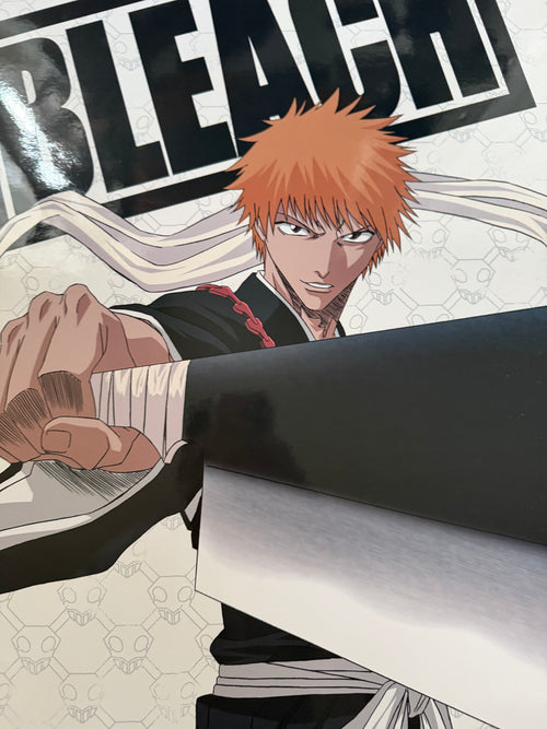 Bleach Manga Poster