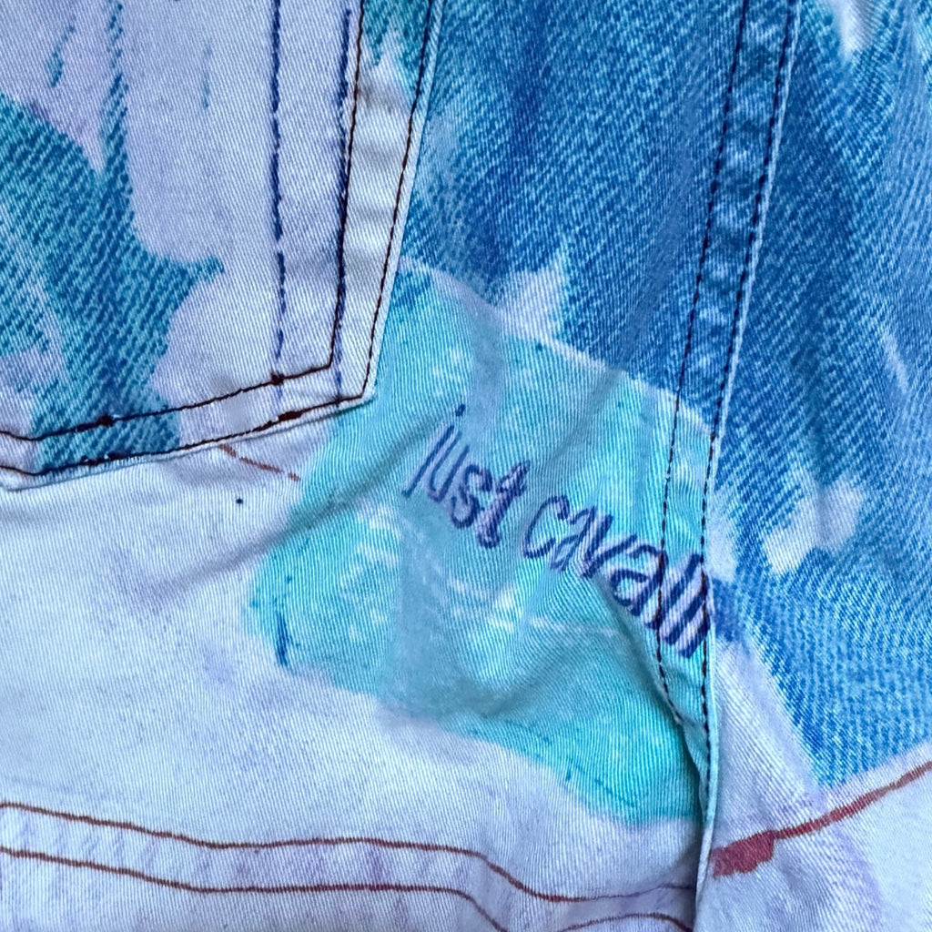 JUST CAVALLI X ROBERTO CAVALLI 2001 DENIM PRINT JEANS